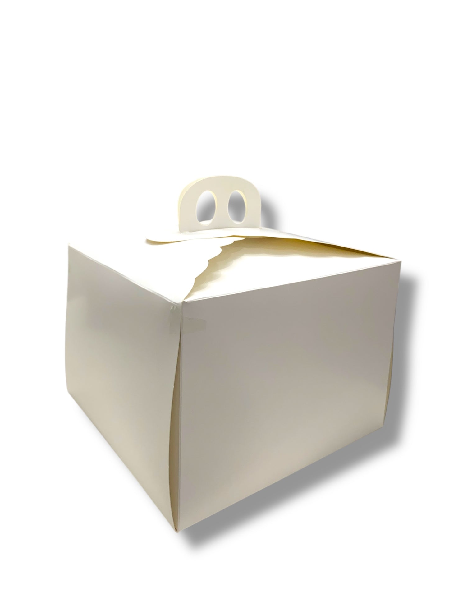 Caja torta alta 25x25x18 cm alto