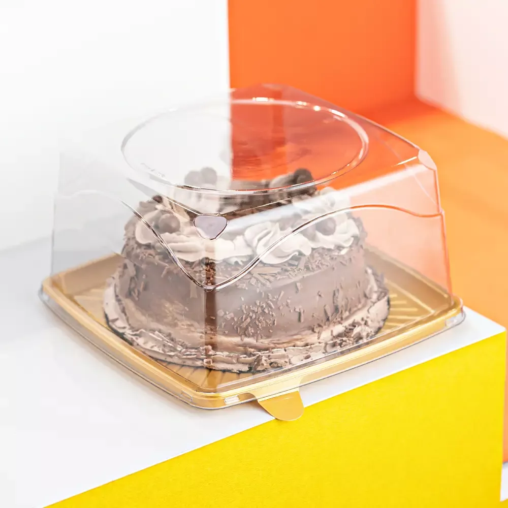 Cúpula de torta Cuadrada 18cm - G32QA