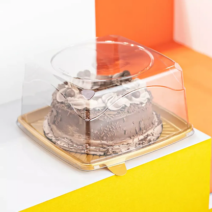 Cúpula de torta Cuadrada 18cm - G32QA