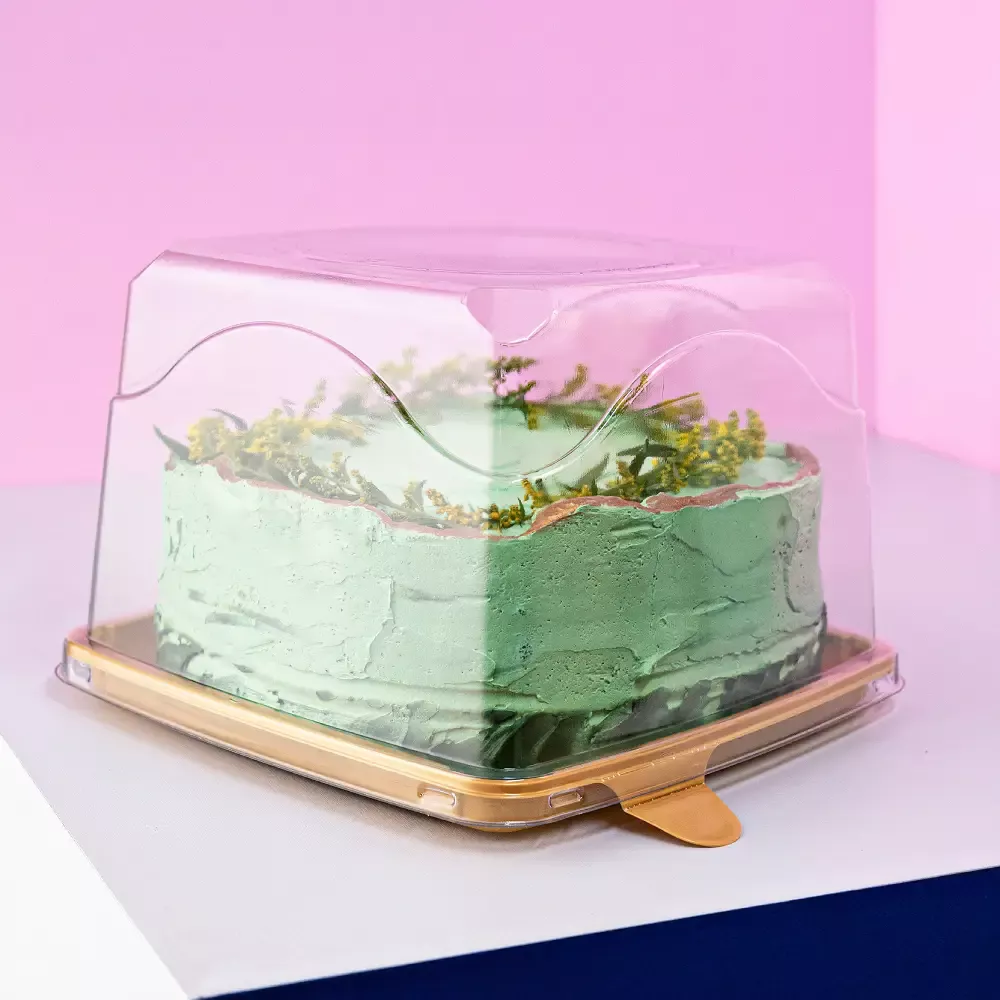 Cúpula de torta Cuadrada 18cm - G32QA