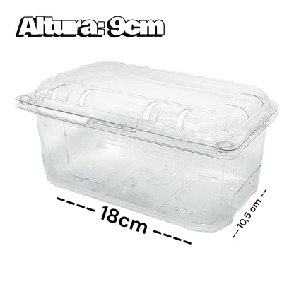 10 envases Frutillero 1/2 kilo. Clamshell para frutas