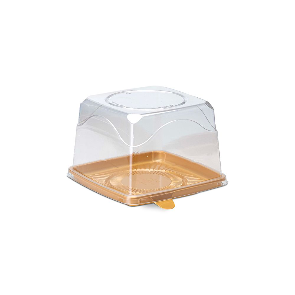 Cúpula de torta Cuadrada 18cm - G32QA