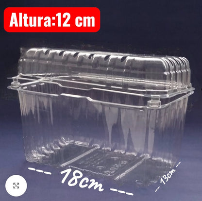 10 envases Frutillero 1 kilo. Envase clamshell para frutas