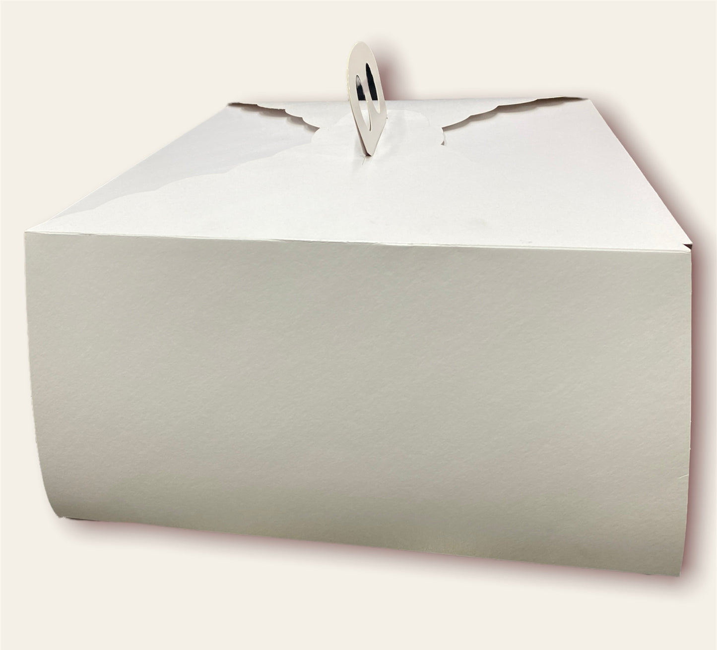 Caja para Torta 35x35x18 cm